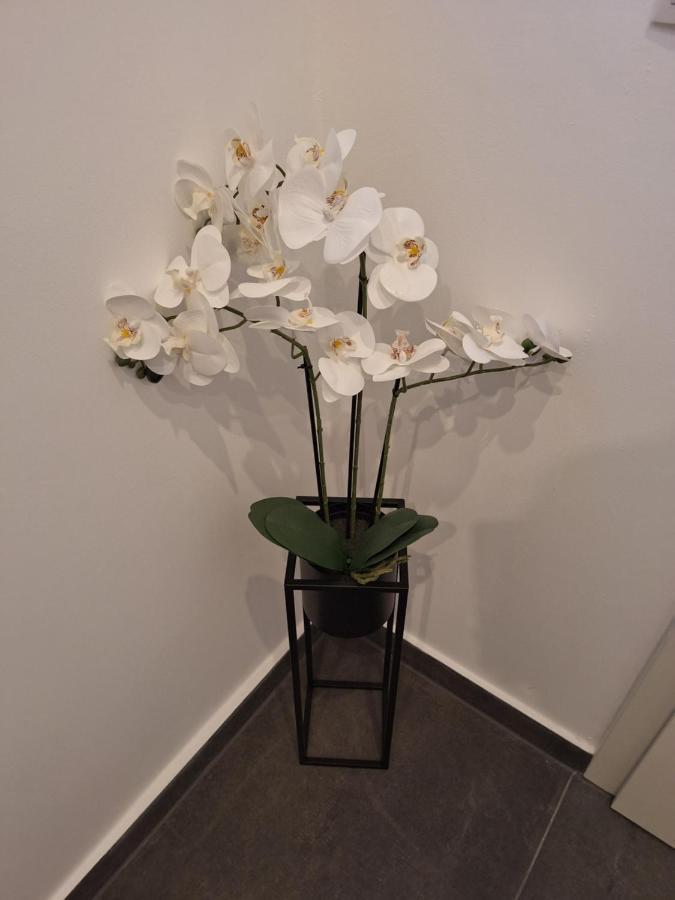 Ferienhaus Aycu Apartment Bremen Bagian luar foto